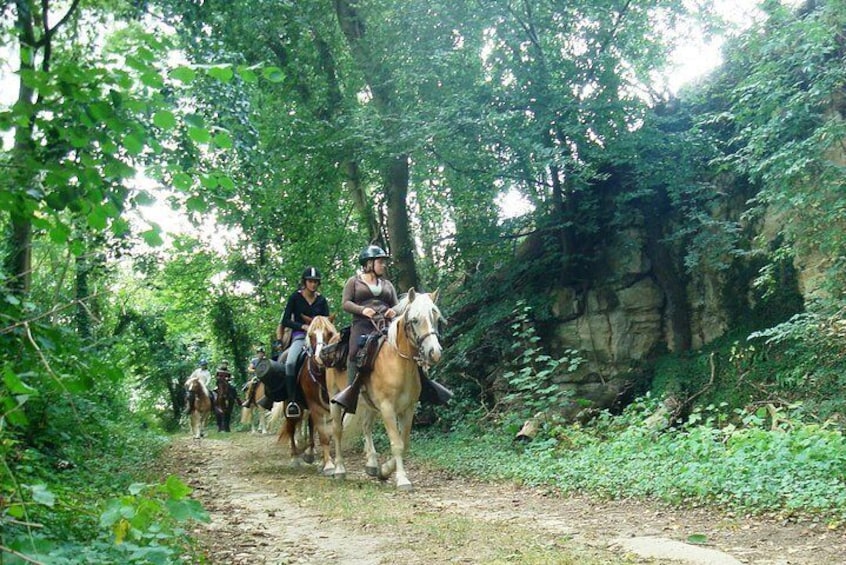 Horse riding in the French countryside