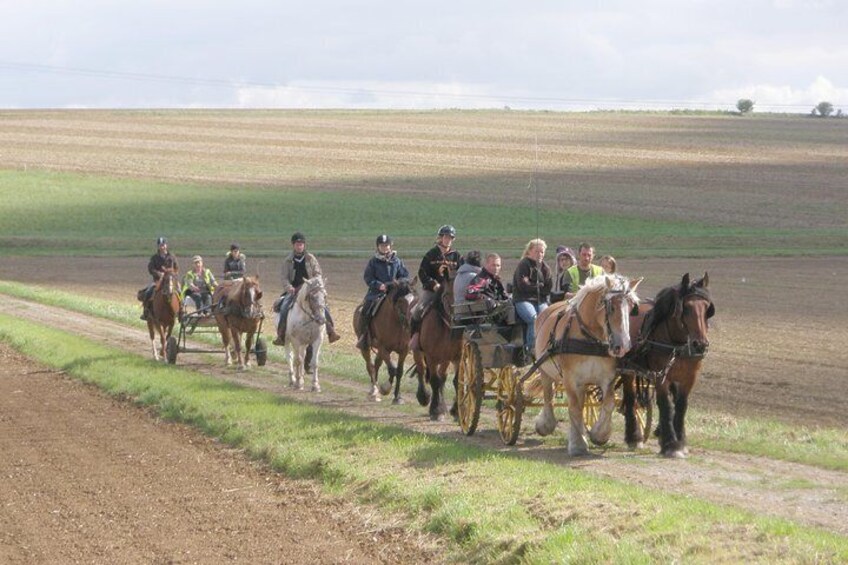 Horse riding in the French countryside