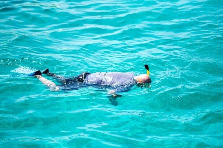 Arusun Catamaran Sail with Snorkeling in Aruba