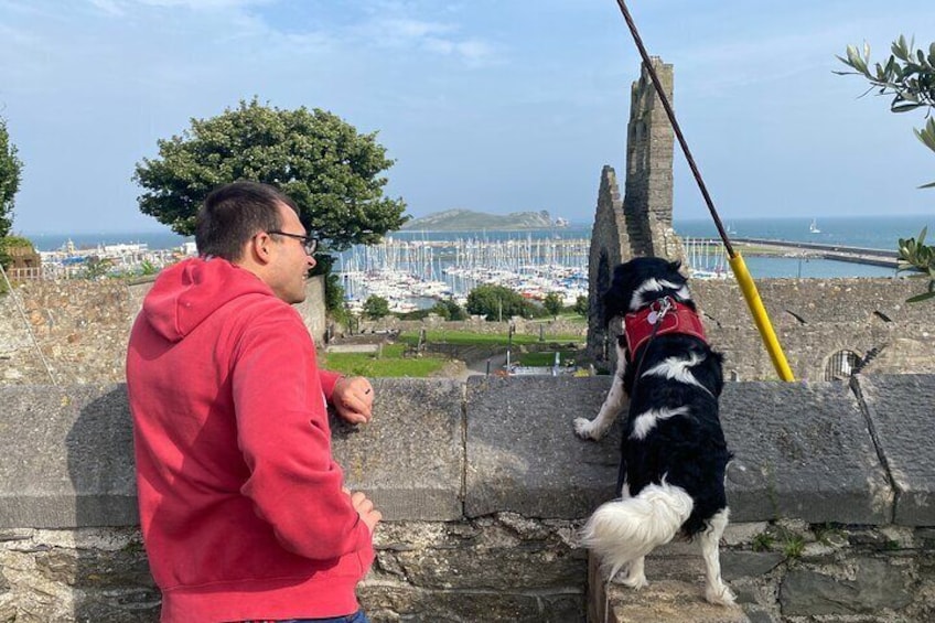 St Mary's Abbey and the Best Tour Guide