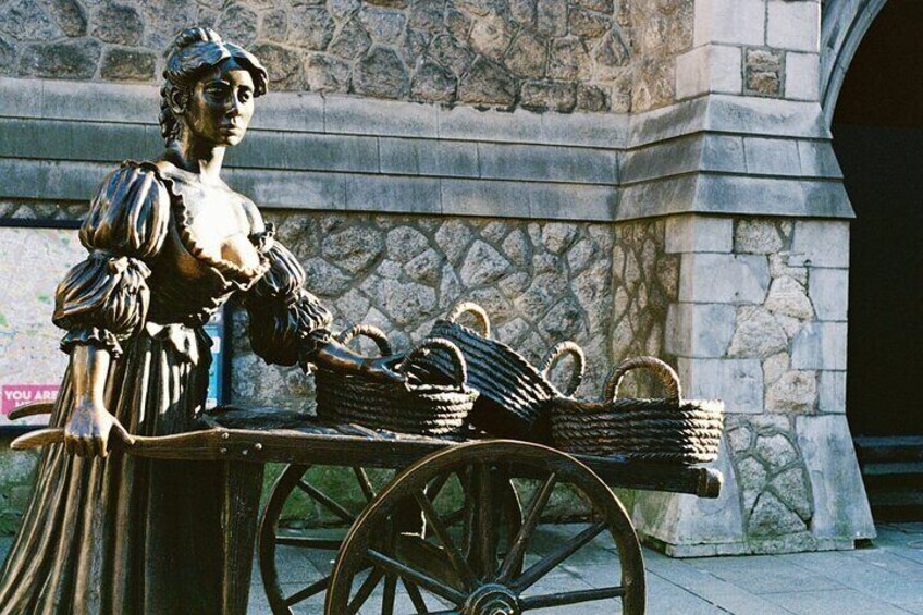 Dublin Book of Kells, Castle and Molly Malone Statue Guided Tour