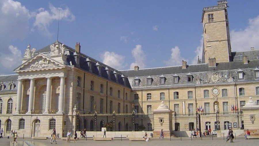 Dijon Walking Tour with professional guide