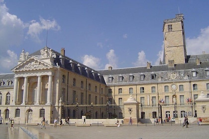 Dijon - Historic Guided Walking Tour