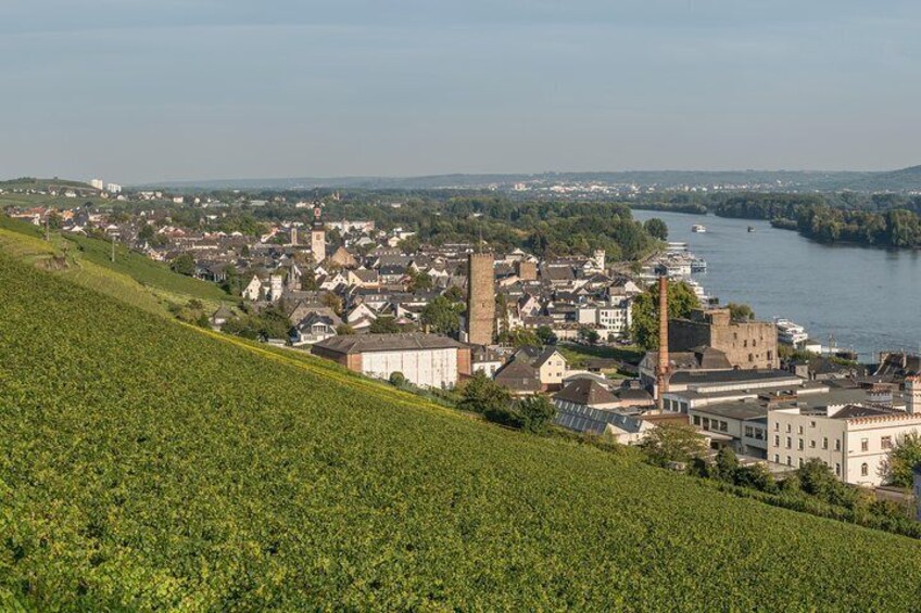 Excursion to Rüdesheim - Half day