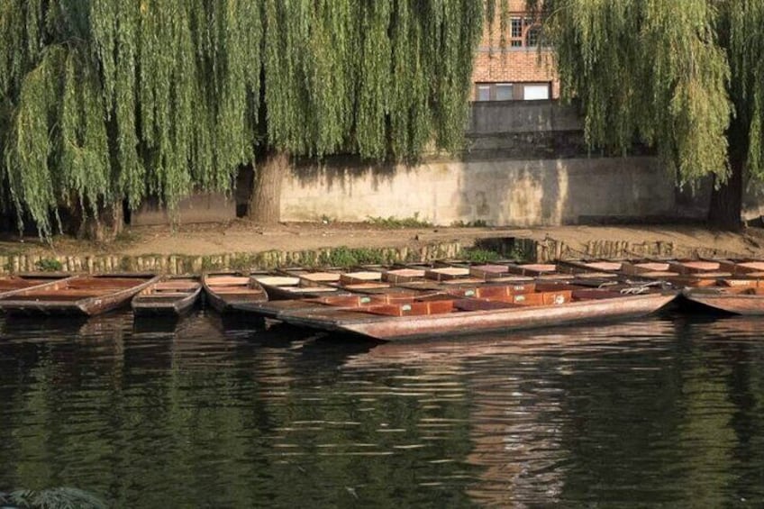 Private Cambridge Punting Tour