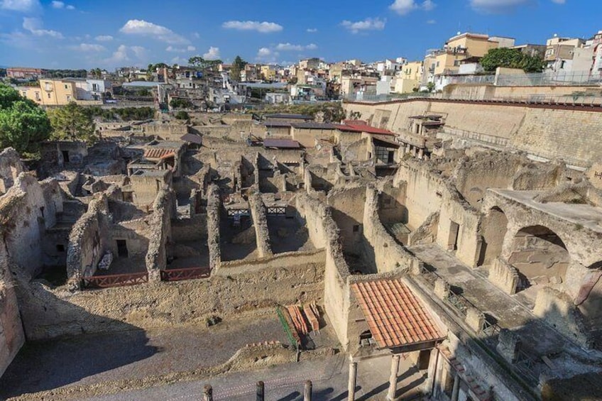 Semi-private: Pompeii & Herculaneum full day
