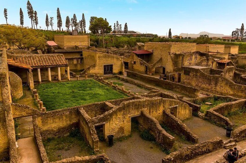 Semi-private: Pompeii & Herculaneum full day