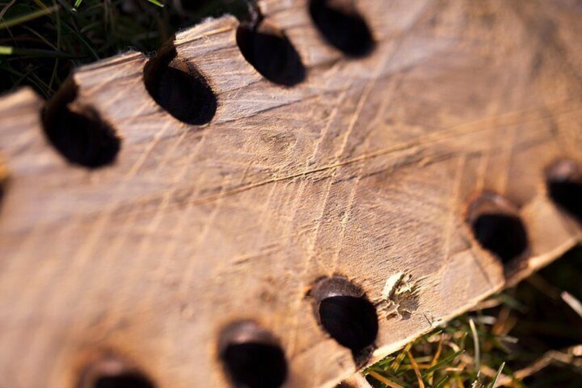 Bushcraft experience, get out and enjoy the outdoors and learn new skills