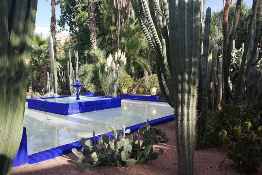 Jardin Yve Saint Laurent
