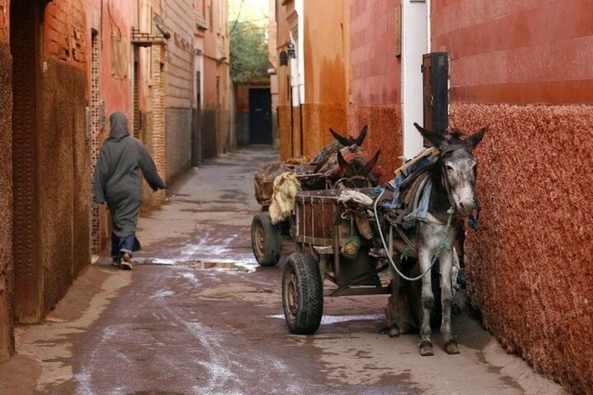 Alley of Marrakech in the old City 