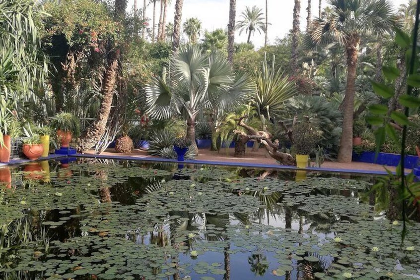 Jardin mojorelle