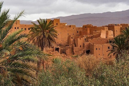2 Days 1 Night To Zagora Desert From Marrakech: Private Trip
