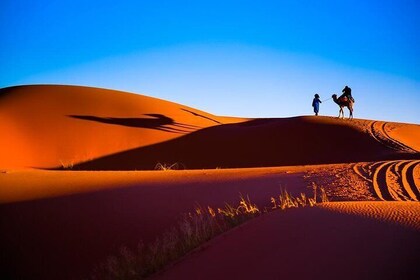 3 Days Trip To Moroccan Desert From Marrakech : Private