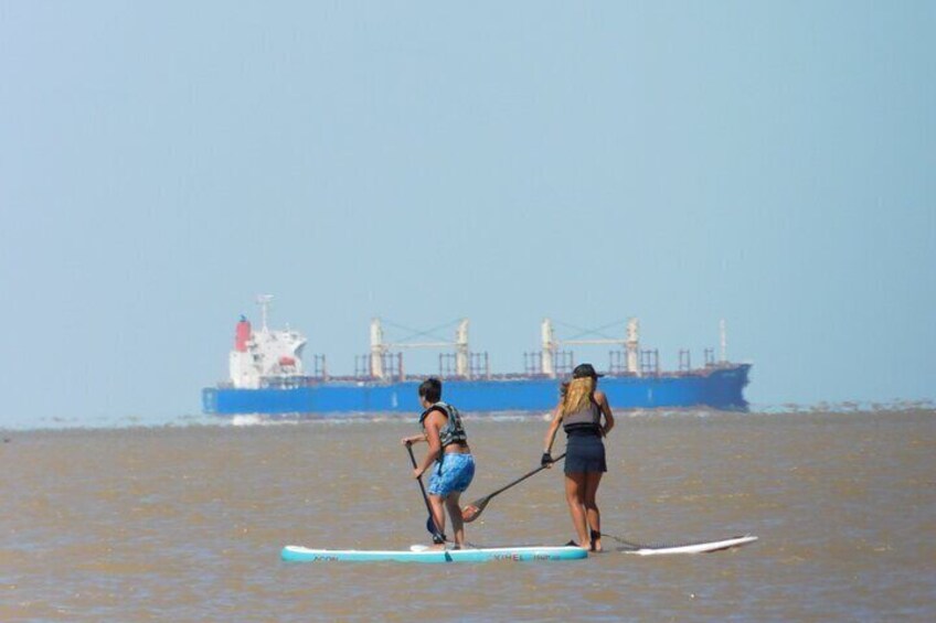 Tigre Delta Sightseeing Cruise from Buenos Aires