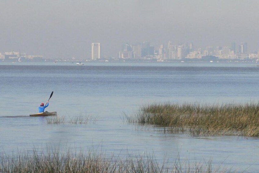 Tigre Delta Sightseeing Cruise from Buenos Aires