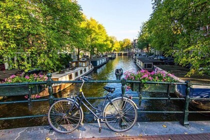 Det bedste ved Amsterdam: vandretur i små grupper