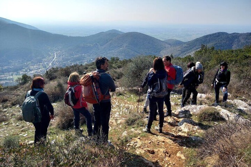 A walk on Monte Pisano