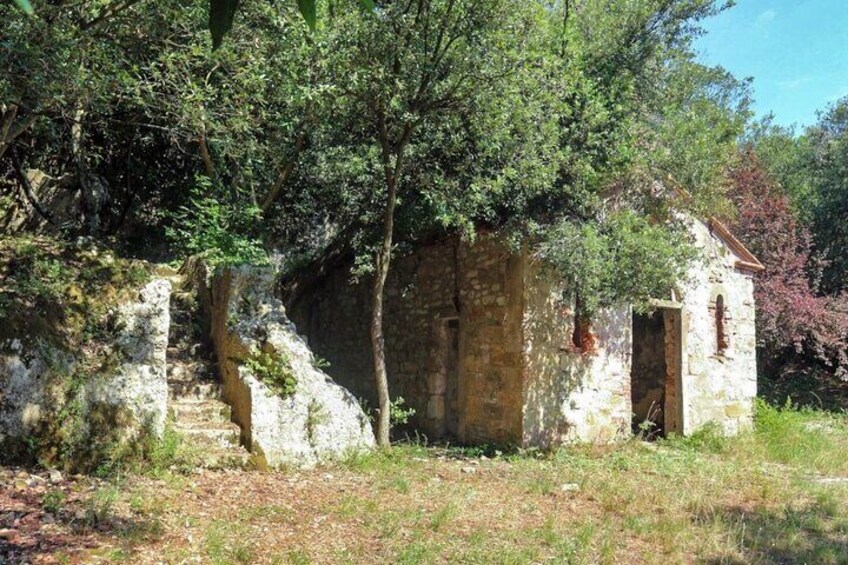 A walk on Monte Pisano