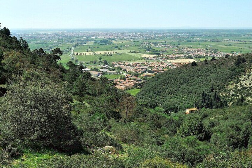 A walk on Monte Pisano