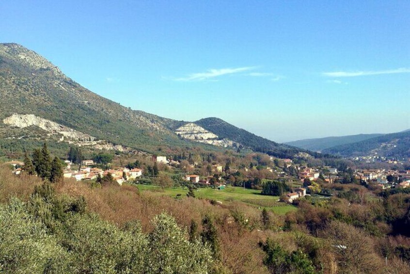 A walk on Monte Pisano