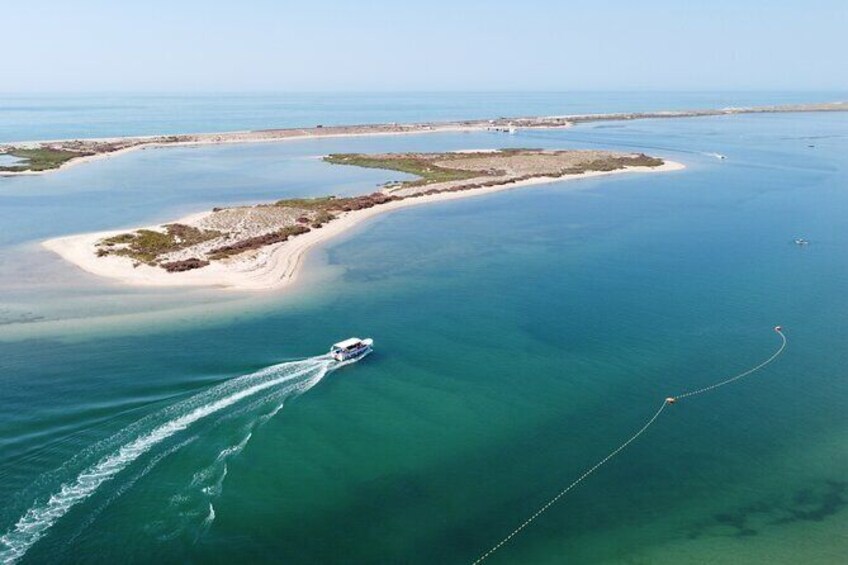 2 Hours Boat Tour in Ria Formosa