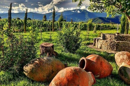 Kakheti-Wine Region Full-Day Superior Private Guided Tour & Organic Wine Ta...