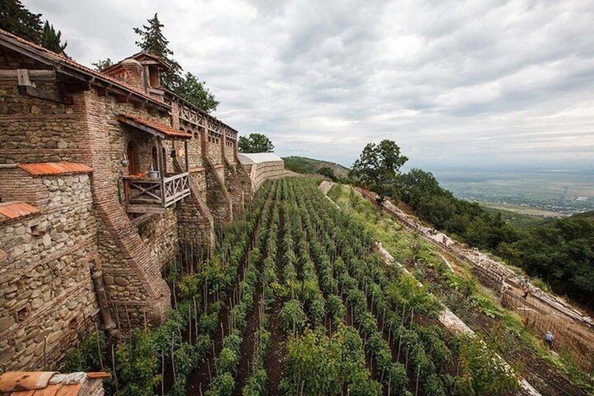 A little garden of Bodbe Monastery