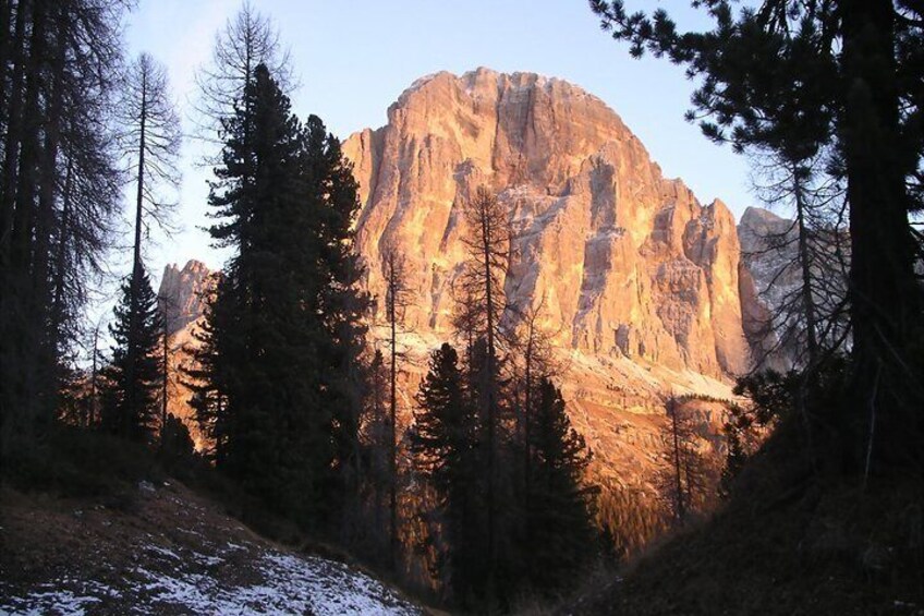 Tofana di Rozes