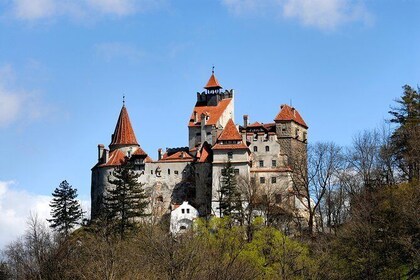Bran Castle and Rasnov Fortress Tour from Brasov with Optional Peles Castle...