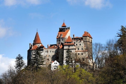 Bran Castle and Rasnov Fortress Tour from Brasov with Optional Peles Castle...