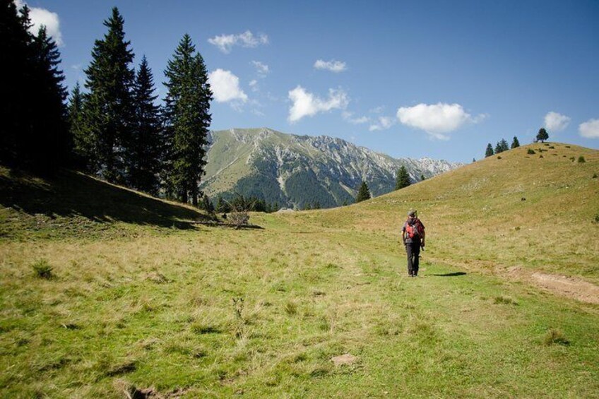 Piatra Craiului National Park