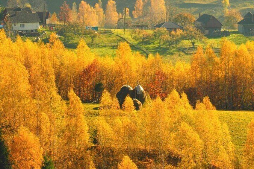 Autumn season in mountain villages from Romania