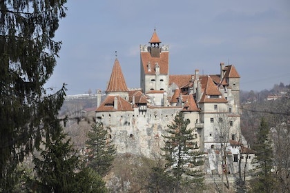 Bran Castle and Rasnov Fortress Tour from Brasov with Entrance Fees Include...
