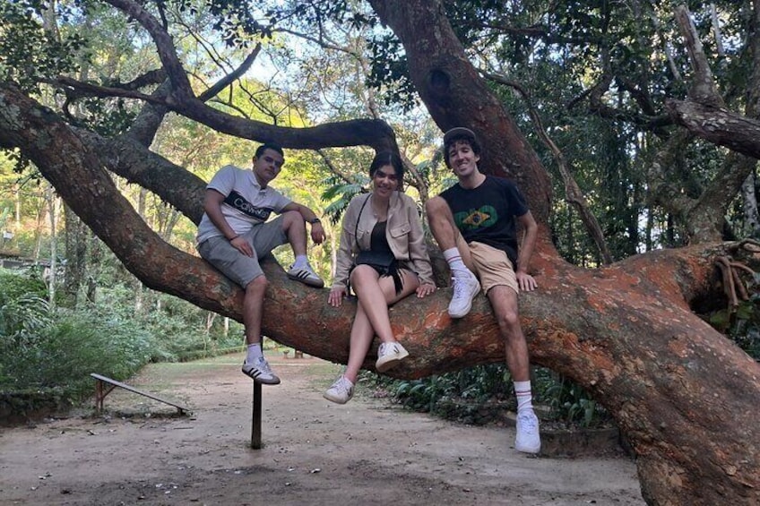 Jeep Jungle Tour Rio de Janeiro