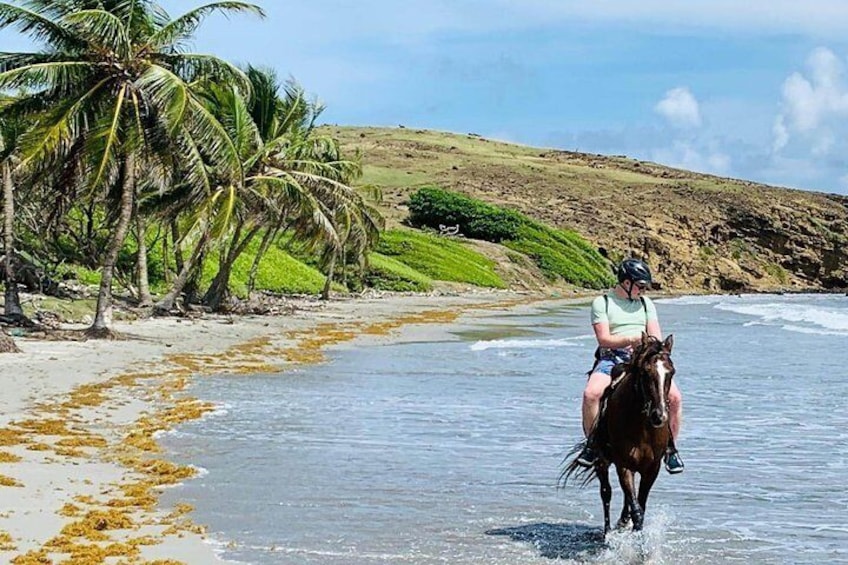 Horseback riding along the shoreline.