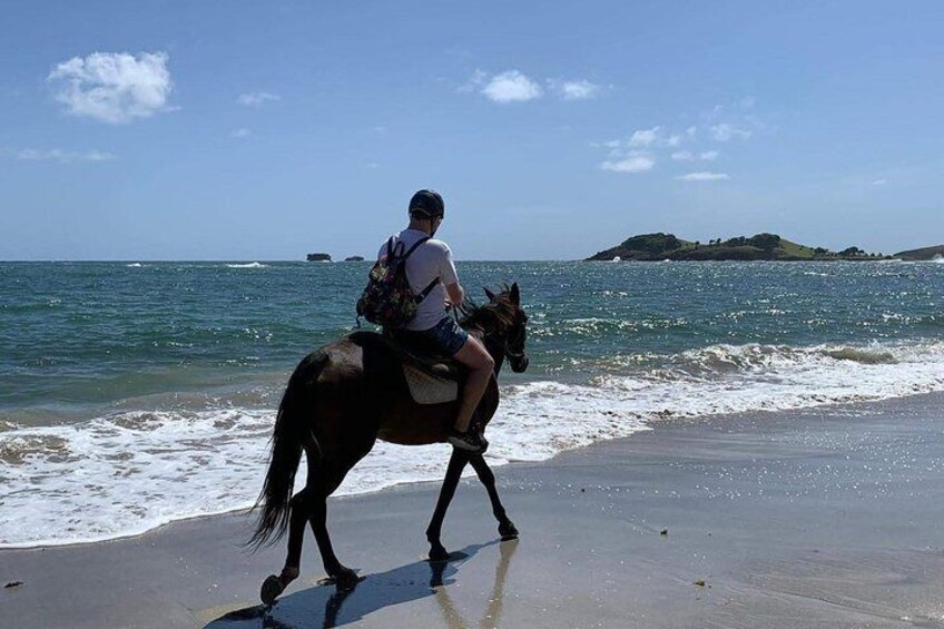 Horseback riding along the shoreline.