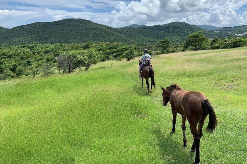 Beautiful hillside trails on horseback.