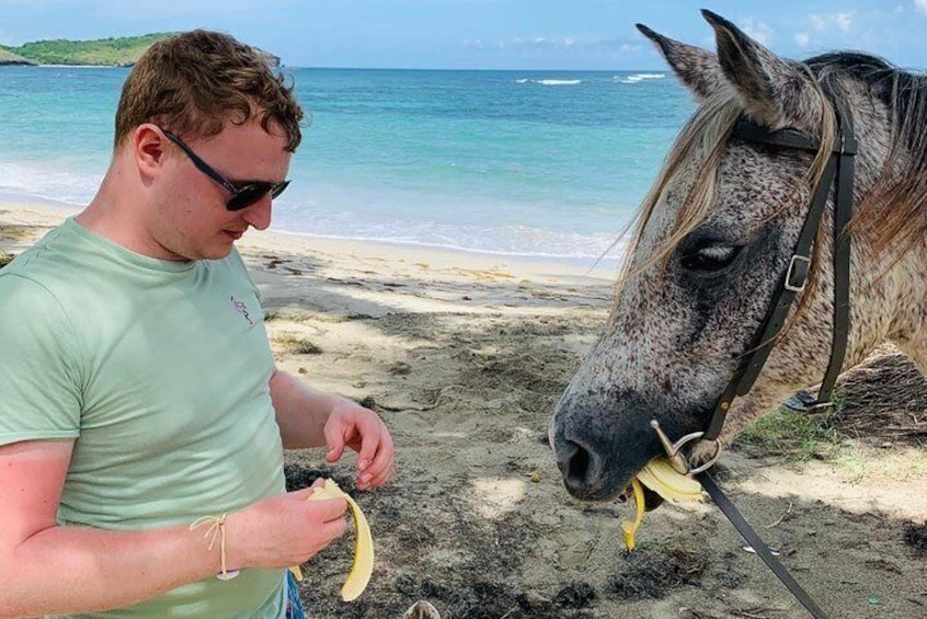 Sharing the bananas with Diamond.