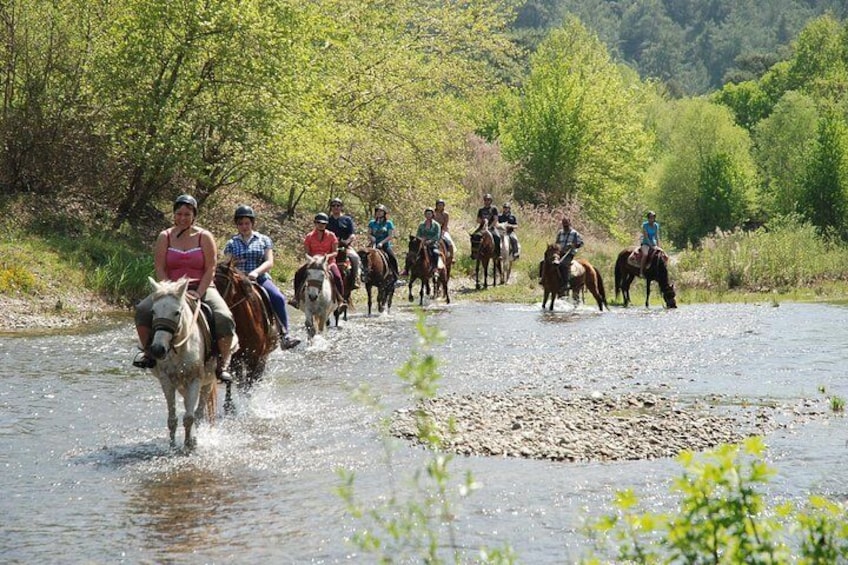 Horse Riding 2-hours tour in Marmaris