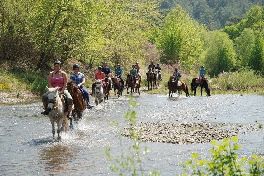 Horse Riding 2-hours tour in Marmaris