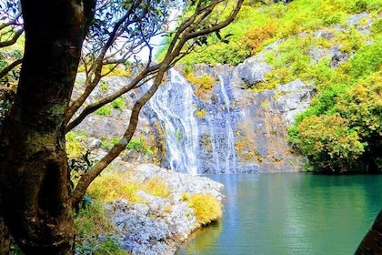 Hiking in Mauritius: Tamarind Falls (7 Cascades) With Hotel Transfer & Guid...