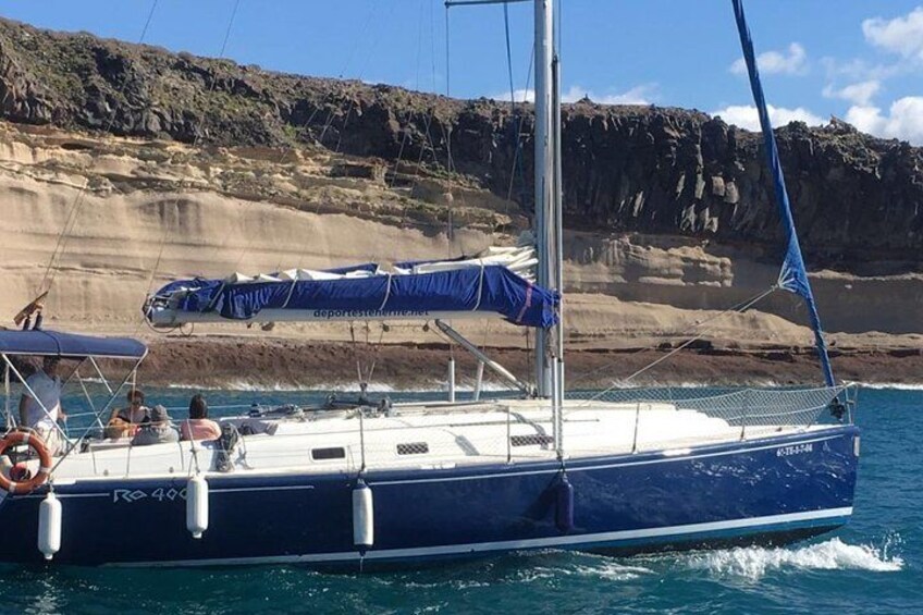 Whale and Dolphin Watching Sailing Boat with Drinks, Snacks and Swimming Time