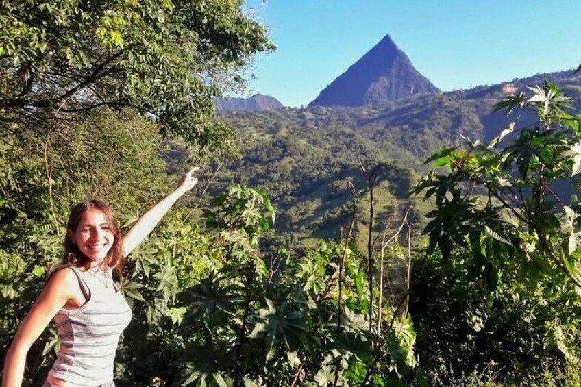 Coffee Private Tour in the beautiful Jardin town (Full-Day)