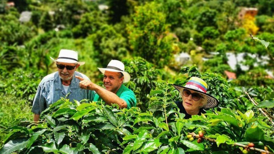 Coffee Private Tour in the beautiful Jardin town