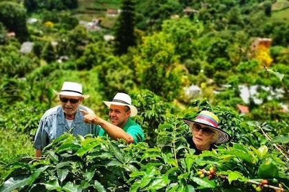 Coffee Tour in the Beautiful Jardin Town: Adventure in the Andes