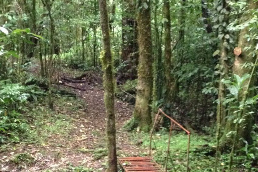 Mombacho Volcano Trails and Zip line - Amazing natural landscapes