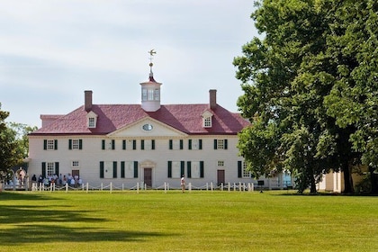 Mount Vernon og Old Town Alexandria Day Trip fra Washington DC