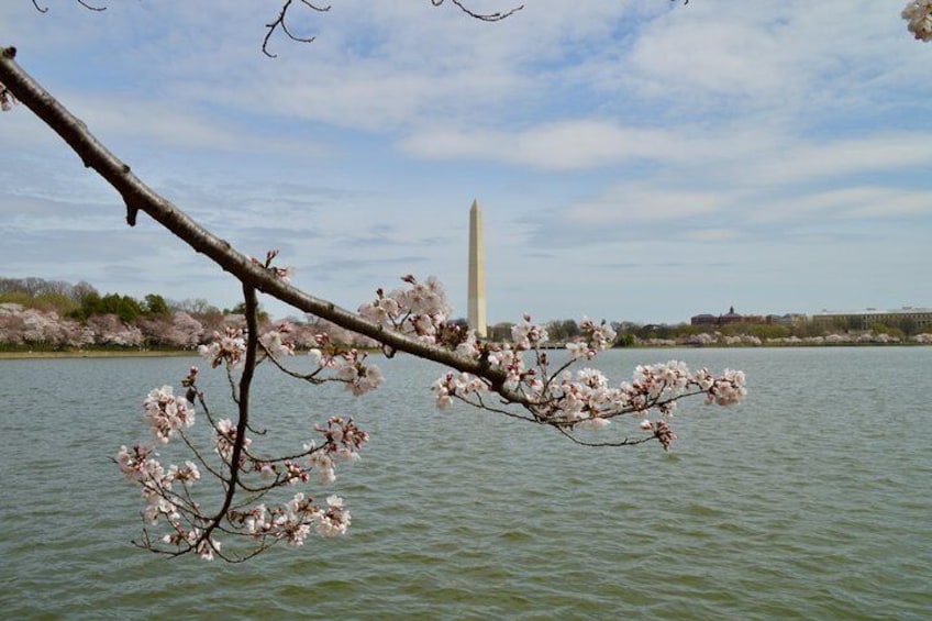Washington DC City Day Tour with Stops at 10 Top Attractions