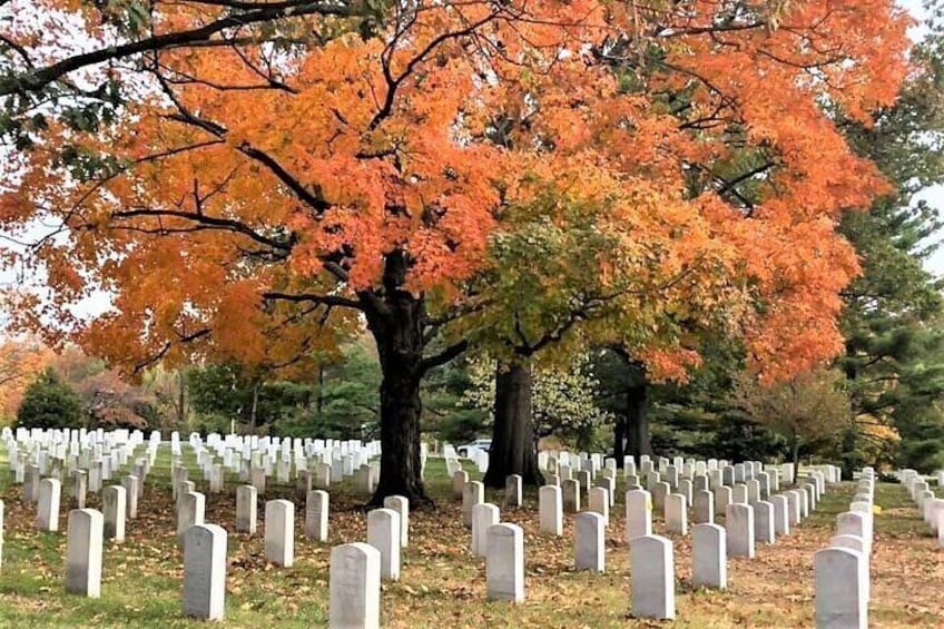 Arlington National Cemetery Guided Morning Walking Tour