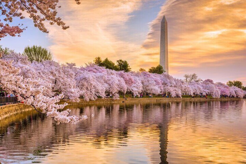 DC National Mall Night Tour with 10 Stops, Reserved Entry Tickets